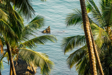 View of tall green palm trees and clear blue waters on a sunny day. Beautiful summer sea landscape....