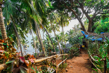 Footpath in cabo-de-rama fort to reach pebble beach in Goa, India. Dense tropical forest with palm...