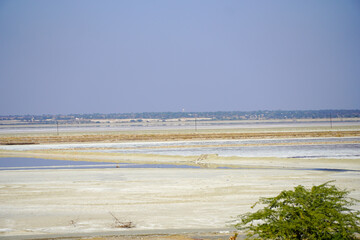 Pink flamingos and their relection seen in Sambhar Salt Lake in Rajasthan, India.
Sambhar Lake is...