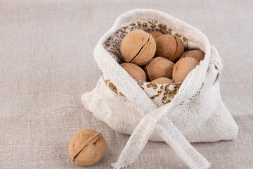 Organic fresh harvested walnuts in burlap on gray linen background. Copy space