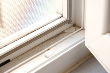 Dirt and dust on windowsill and window screen. Housework, cleaning concept