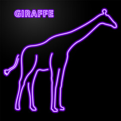 giraffe neon sign, modern glowing banner design, colorful modern design trend on black background. Vector illustration. © Oleh
