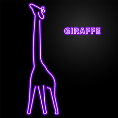 giraffe neon sign, modern glowing banner design, colorful modern design trend on black background. Vector illustration.