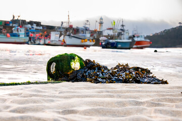 Haltetaue und Fender im Hafen von St. Ives bei Ebbe