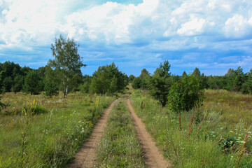 Fototapeta na wymiar A dirt road in the middle of a field against a blue sky