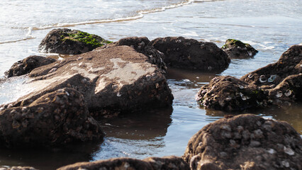 Plage de Pontaillac, Royan