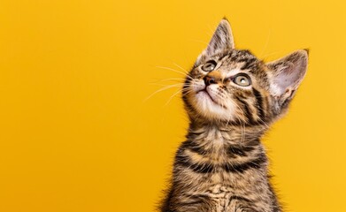 Feline Fashionista A Striped Kitty in Yellow Generative AI