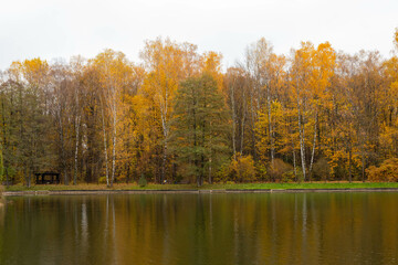 Lake reflections of autumn foliage. The colorful fall foliage is reflected in the calm waters of the European Lake.