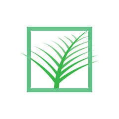 this is a simple flat logo that depicts a palm leaf on a square  in green color that can be used for palm tree related products or purposes
