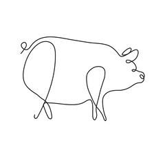 image of an pig