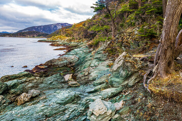 Bahia Ensenada Zaratiegui, Tierra del Fuego National Park, Patagonia, Argentina