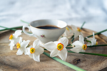 Still life with a delicate decoration of white daffodil flowers around a baroque fine porcelain coffee cup on a wooden tray