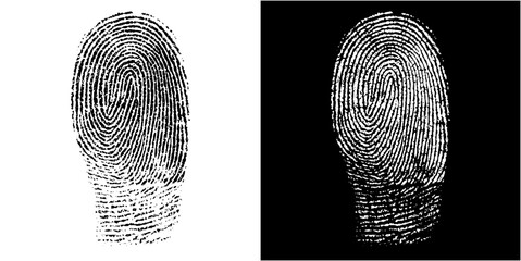 fingerprint vector texture