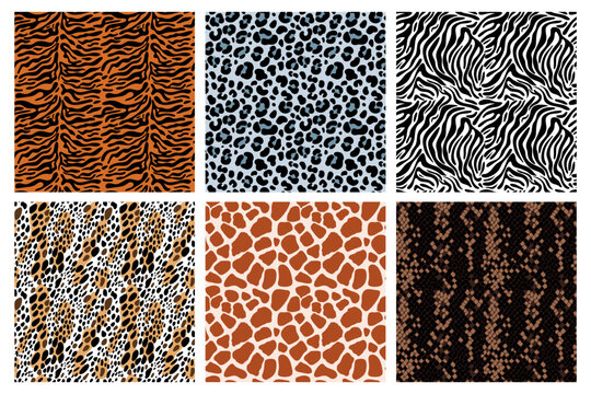 Wild animal skins seamless patterns. Exotic fur colors. Natural leather with spots, stripes and scales. Reptiles and mammals. Tiger print. Zebra and leopard backgrounds. Garish vector set