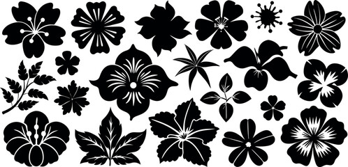 black and white flowers