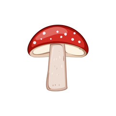 spring fly agaric cartoon. red forest, autumn simple, toadstool moss spring fly agaric sign. isolated symbol vector illustration
