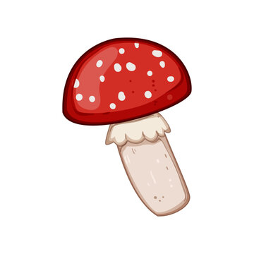 forest fly agaric cartoon. autumn simple, toadstool moss, fungus watercolor forest fly agaric sign. isolated symbol vector illustration