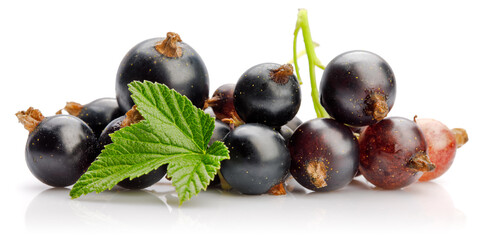 Berries black currant with green leaf. Fresh fruit, isolated on white background.