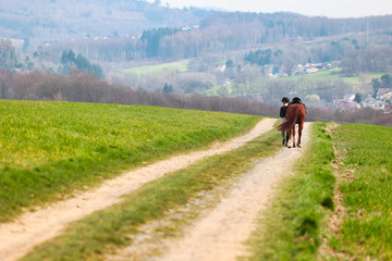 Fototapeta na wymiar Rider walks her horse along a field path, landscape image in landscape format.