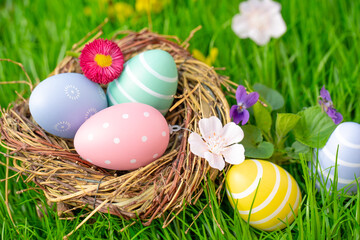 easter eggs in a basket in grassland in springtime - 756283292