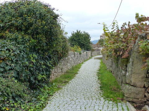 Route de campagne