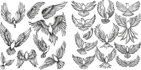Doodle wings. Hand drawn angel flight feather, elegant angel wings