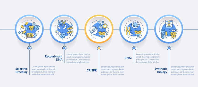 Genetic modified cultivation circle infographic template. Data visualization with 5 steps. Editable timeline info chart. Workflow layout with line icons. Lato-Bold, Regular fonts used