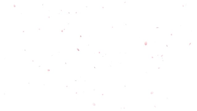 桜吹雪、春の景色、桜の花びら、春風、透過された桜のアニメーション、桜の舞、