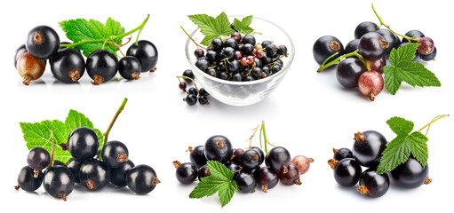 Collage set Berries black currant with green leaf Fresh fruit