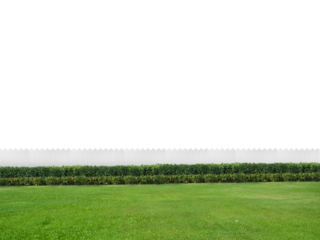 Empty backyard, transparent background