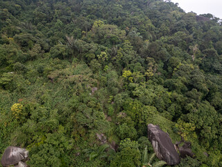 Aerial view of green tropical rainforest canopy with boulders in central Vietnam