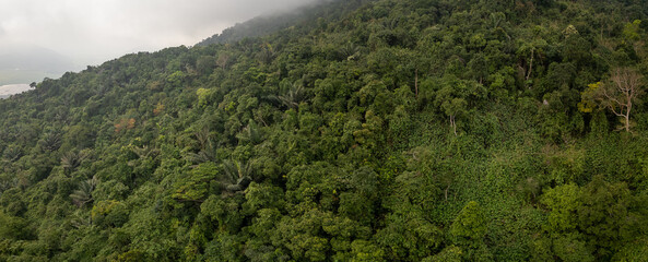 Panoramic aerial view of fog rising up over green tropical rainforest canopy in central Vietnam
