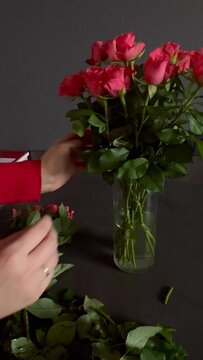 Close up of a woman taking care of red roses and putting them in a vase, grey wall and table