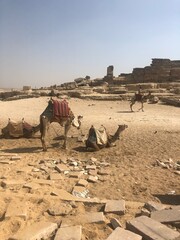 Egypt. Cairo. Ancient pyramids. Giza
