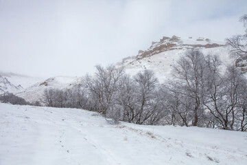 Karachay-Cherkessia, Russia. Caucasus Mountains winter landscape. - 756293243