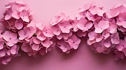 Gardinen Pink hydrangea flowers on pink background © Anas