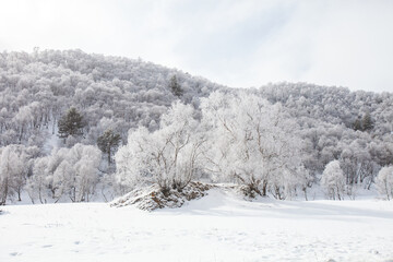 Karachay-Cherkessia, Russia. Caucasus Mountains winter landscape. - 756293828