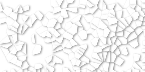 Abstract white and gray broken stained-glass background with line. geometric seamless pattern with 3d shapes triangle background. white low poly crystal mosaic and tiles background pattern.