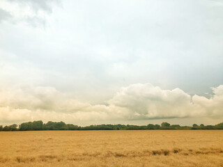 Landscape near Anklam, Germany