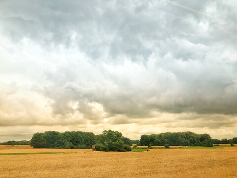 Landscape near Anklam, Germany
