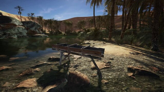 An old wooden Dredge in desert oasis
