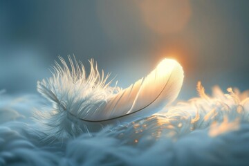 a feather with a light shining on it
