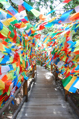 Tibetan prayer flags covered path