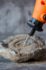 Grinding rock to reveal an Ammonite fossil with a precision electric multi tool. Paleontology...