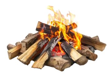Foto op Canvas Close up of a fire pit surrounded by logs, flames flickering and logs burning © Hashi