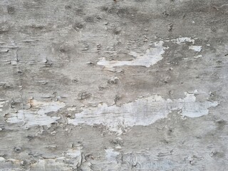 Texture of an old wooden board