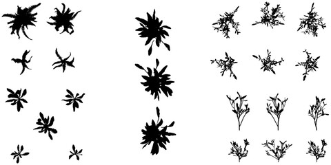 Set Of Silhouette Shapes - Flowers and Leaves Shapes Silhouette Vector EPS10