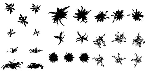 Set Of Silhouette Shapes - Flowers and Leaves Shapes Silhouette Vector EPS10