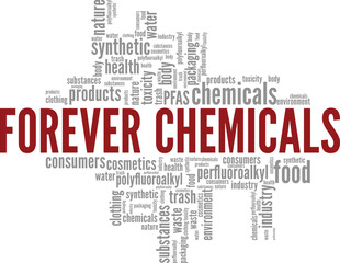Forever Chemicals word cloud conceptual design isolated on white background.