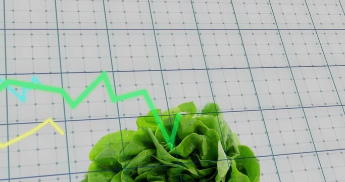 Animation of diagrams over fresh lettuce